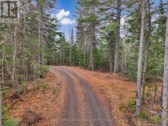 989 NORTH MCKENZIE LAKE ROAD South Algonquin Ontario photo 39