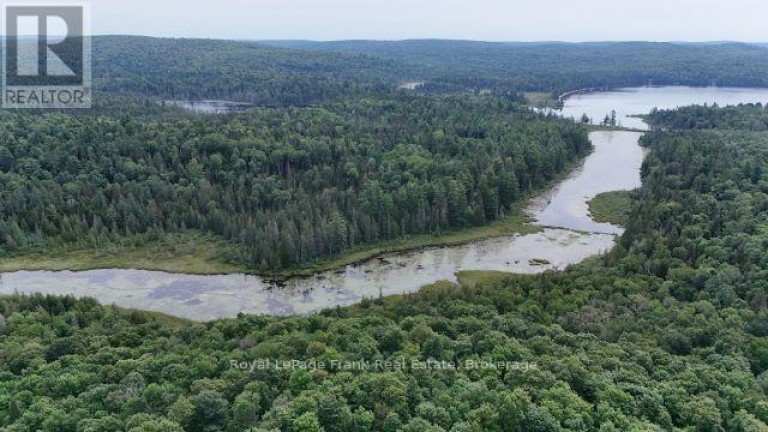 989 NORTH MCKENZIE LAKE ROAD, South Algonquin, Ontario, N0C1B0