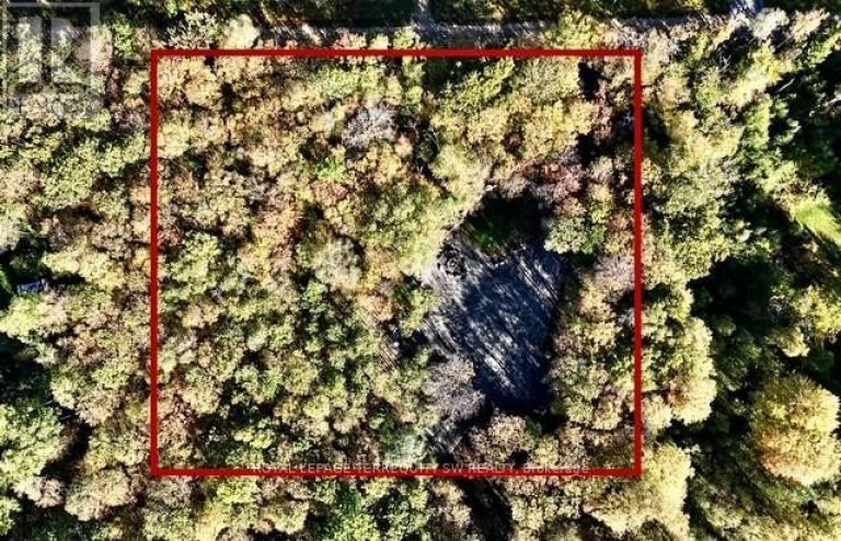 1394 BARTLETT LAKE ROAD, Ryerson, Ontario, P0A1Y0
