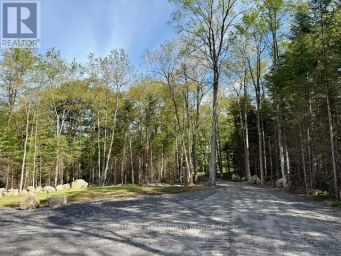 1394 BARTLETT LAKE ROAD Ryerson Ontario photo 10