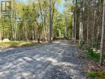 1394 BARTLETT LAKE ROAD Ryerson Ontario photo 11