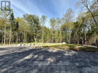 1394 BARTLETT LAKE ROAD Ryerson Ontario photo 12