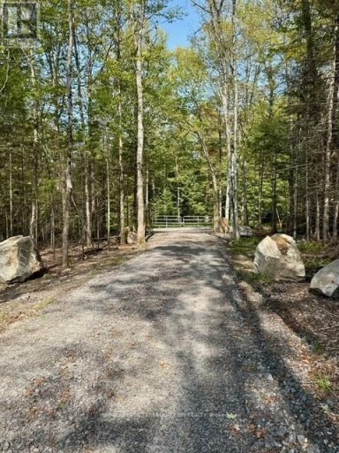 1394 BARTLETT LAKE ROAD, Ryerson, Ontario, P0A1Y0