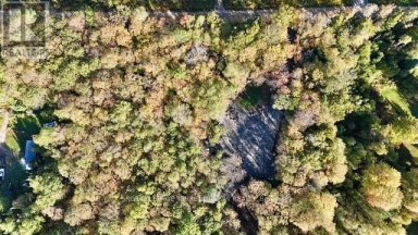 1394 BARTLETT LAKE ROAD Ryerson Ontario photo 4