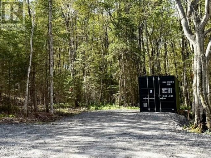 1394 BARTLETT LAKE ROAD, Ryerson, Ontario, P0A1Y0