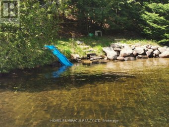 1274 TWIST LANE Highlands East (Glamorgan) Ontario photo 27
