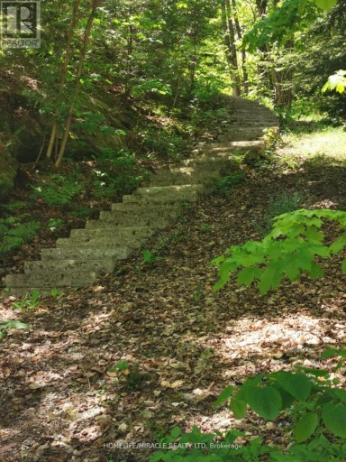 1274 TWIST LANE, Highlands East (Glamorgan), Ontario, K0M1X0