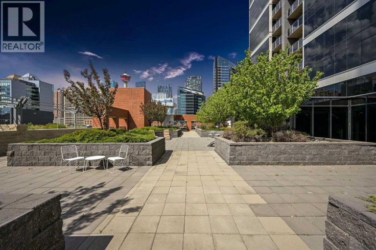 202, 1320 1 Street SE, Calgary, Alberta, T2G0G8