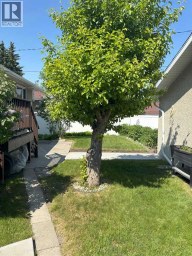 4928 40 Avenue NW Calgary Alberta photo 24