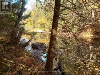 326 SOUTH RIVER ROAD Nipissing Ontario photo 1