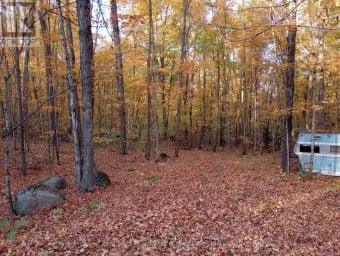 326 SOUTH RIVER ROAD Nipissing Ontario photo 10