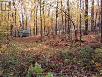 326 SOUTH RIVER ROAD Nipissing Ontario photo 11