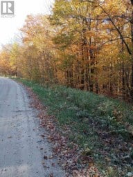 326 SOUTH RIVER ROAD Nipissing Ontario photo 12