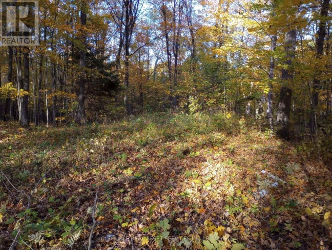 326 SOUTH RIVER ROAD, Nipissing, Ontario, P0H1W0
