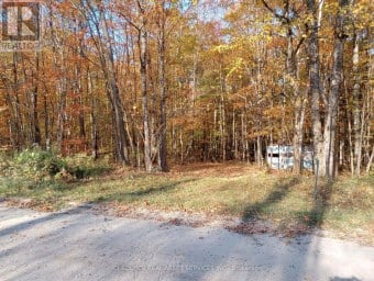 326 SOUTH RIVER ROAD Nipissing Ontario photo 5