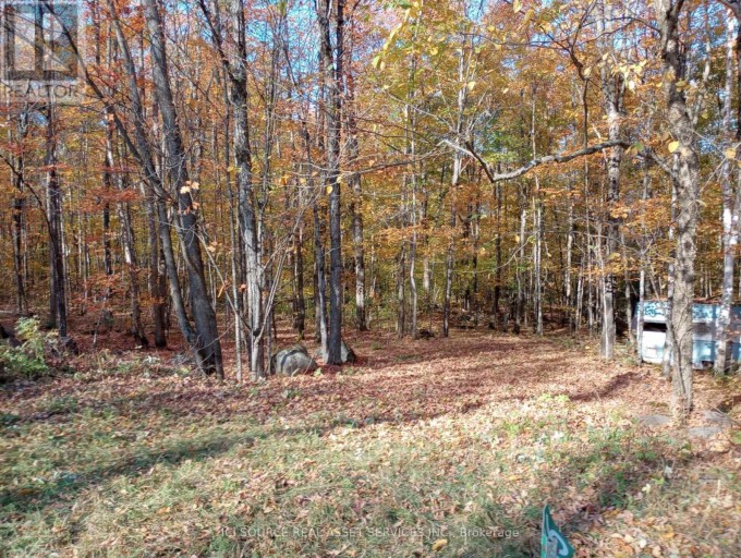 326 SOUTH RIVER ROAD, Nipissing, Ontario, P0H1W0