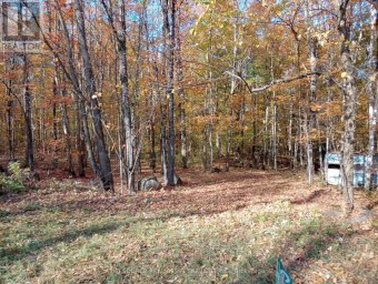 326 SOUTH RIVER ROAD Nipissing Ontario photo 8