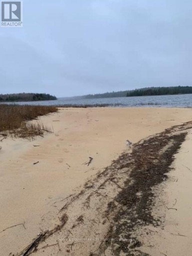 PARCEL 26057, Rainy River Remote Area (TB-408), Ontario, P0W1H0