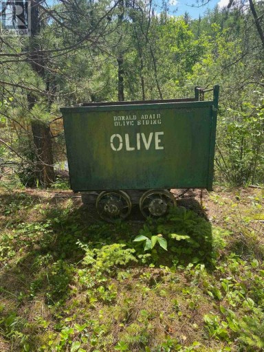 PARCEL 26057, Rainy River Remote Area (TB-408), Ontario, P0W1H0