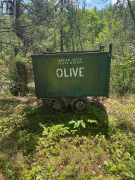 PARCEL 26057 Rainy River Remote Area (TB-408) Ontario photo 12
