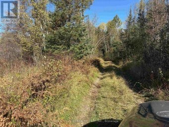 PARCEL 26057 Rainy River Remote Area (TB-408) Ontario photo 14