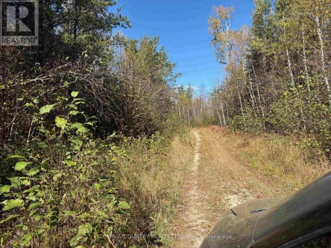 PARCEL 26057, Rainy River Remote Area (TB-408), Ontario, P0W1H0