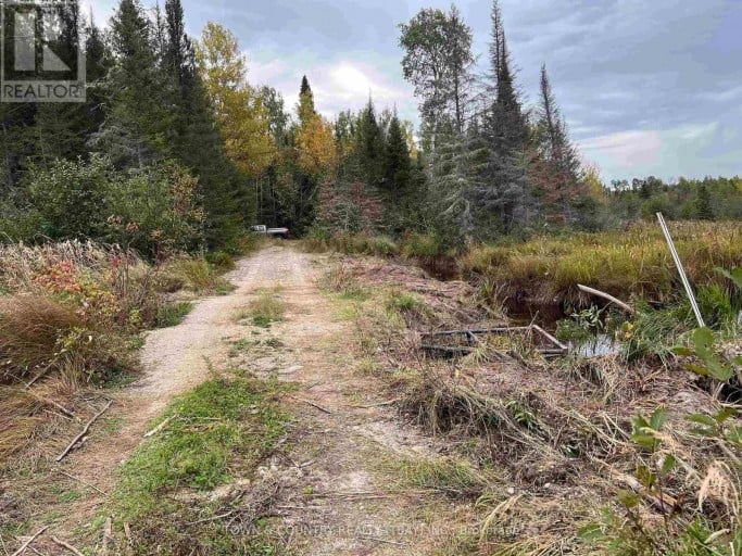 PARCEL 26057, Rainy River Remote Area (TB-408), Ontario, P0W1H0