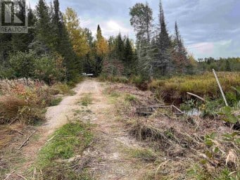 PARCEL 26057 Rainy River Remote Area (TB-408) Ontario photo 16