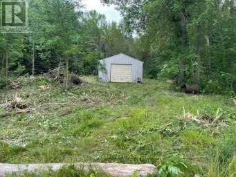 PARCEL 26057 Rainy River Remote Area (TB-408) Ontario photo 17
