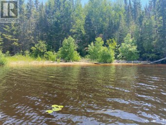 PARCEL 26057 Rainy River Remote Area (TB-408) Ontario photo 2