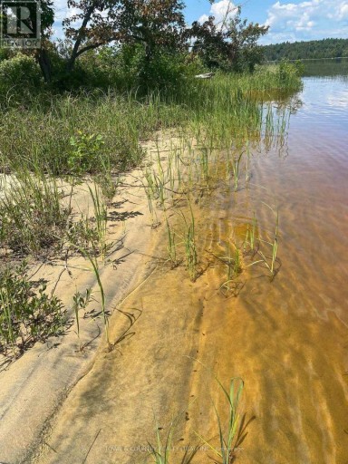 PARCEL 26057, Rainy River Remote Area (TB-408), Ontario, P0W1H0