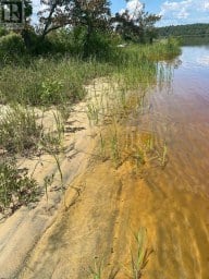 PARCEL 26057 Rainy River Remote Area (TB-408) Ontario photo 5