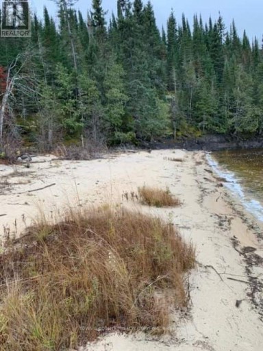 PARCEL 26057, Rainy River Remote Area (TB-408), Ontario, P0W1H0
