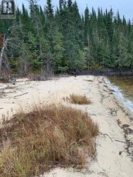 PARCEL 26057 Rainy River Remote Area (TB-408) Ontario photo 6