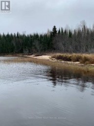 PARCEL 26057 Rainy River Remote Area (TB-408) Ontario photo 7