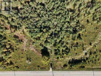 6696 33/34 NOTTAWASAGA SIDE ROAD Clearview Ontario photo 5