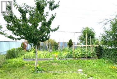 59 BLANEY CRESCENT Toronto (Glenfield-Jane Heights) Ontario photo 23