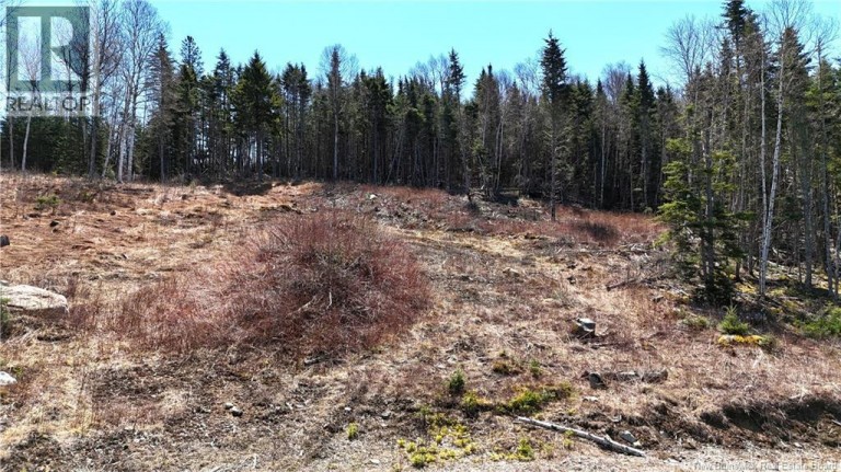 Lot 18-03 Damian Lane, St George, New Brunswick, E5C0C3