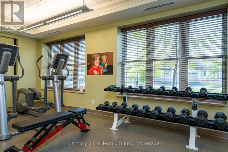 217 - 4 KIMBERLY LANE, Collingwood, Ontario, L9Y5T6