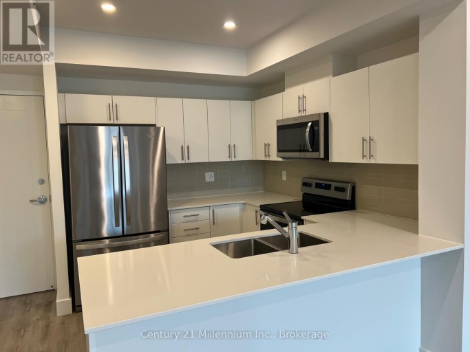 217 - 4 KIMBERLY LANE, Collingwood, Ontario, L9Y5T6