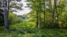 112 GOLFERS LANE, Hastings Highlands (bangor Ward), Ontario, K0J1L0 (ID X13106284)