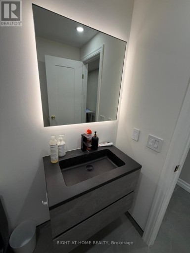 LOWER - 18 WROXETER AVENUE, Toronto (North Riverdale), Ontario, M4K1J6