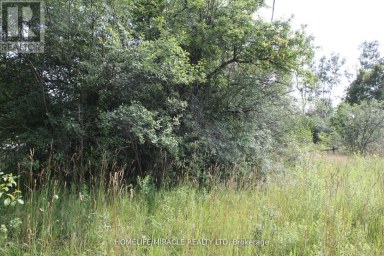 376 HIGHWAY 15 Rideau Lakes Ontario photo 2
