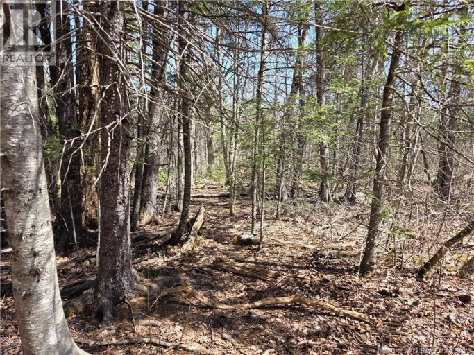 1175 Route 127, Rollingdam, New Brunswick, E5B3E8
