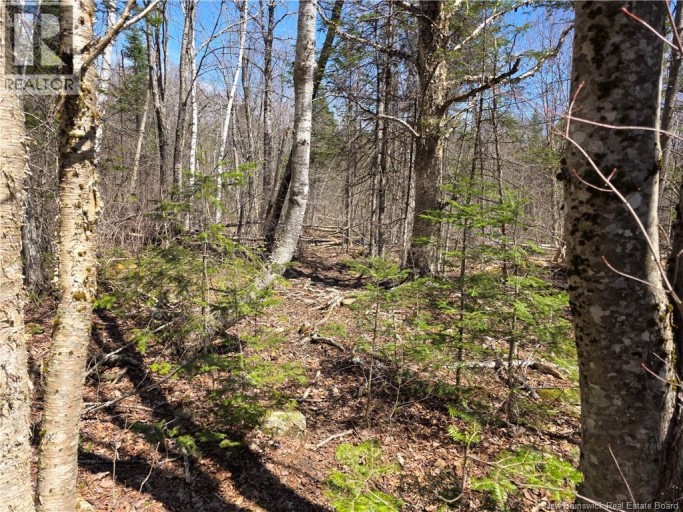 1175 Route 127, Rollingdam, New Brunswick, E5B3E8