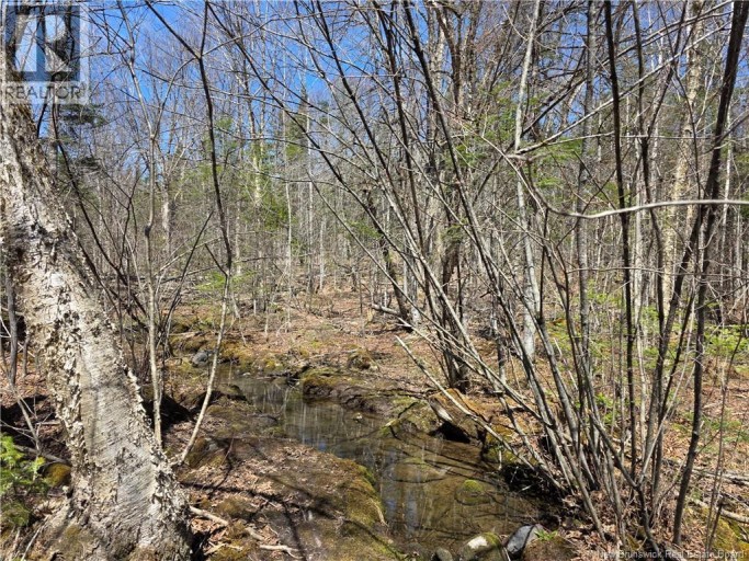 1175 Route 127, Rollingdam, New Brunswick, E5B3E8