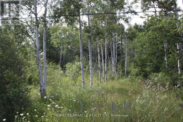 380 HIGHWAY 15 HIGHWAY, Rideau Lakes, Ontario, K7A5B8