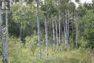 380 HIGHWAY 15 HIGHWAY Rideau Lakes Ontario photo 3