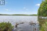 1134 NELSON ROAD, Frontenac (frontenac Centre), Ontario, K0H2P0 (ID X13115122)