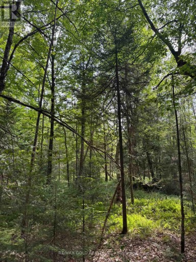 1791 ALSACE ROAD, Nipissing, Ontario, P0H1Z0